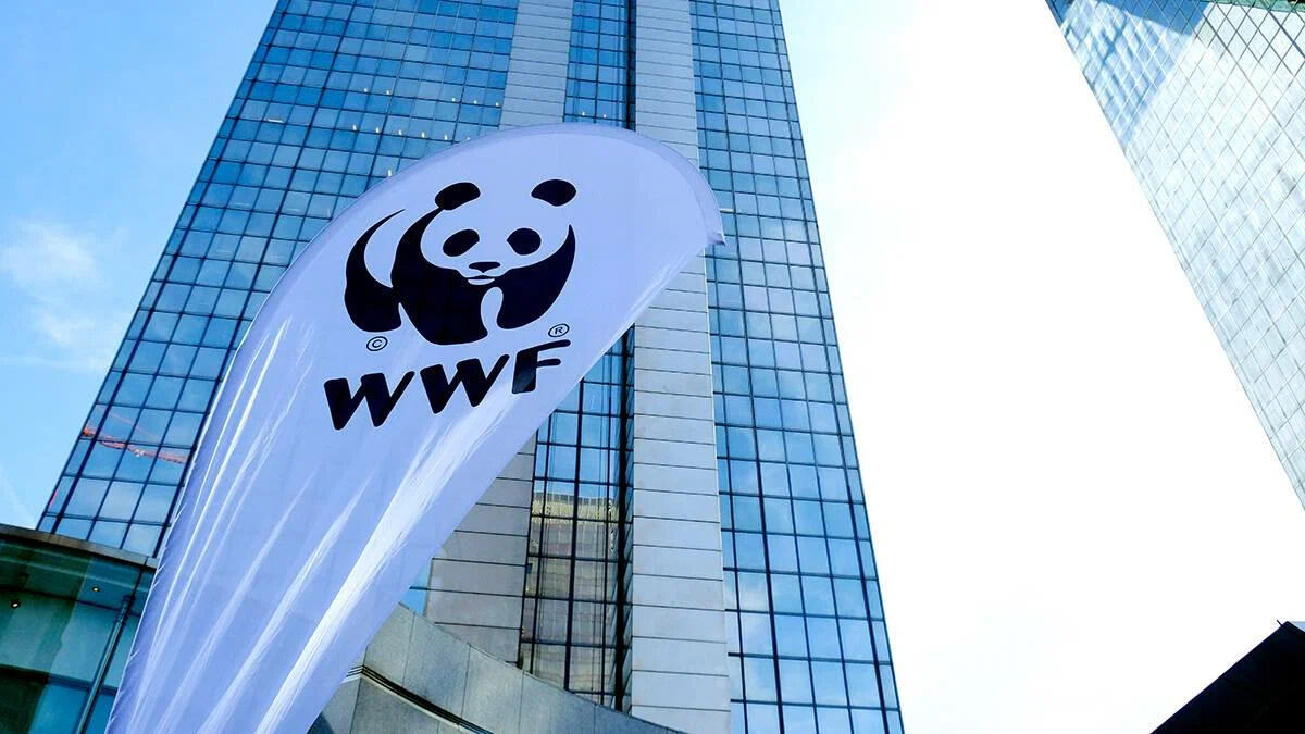 Всемирный фонд природы (WWF) признан нежелательным в России